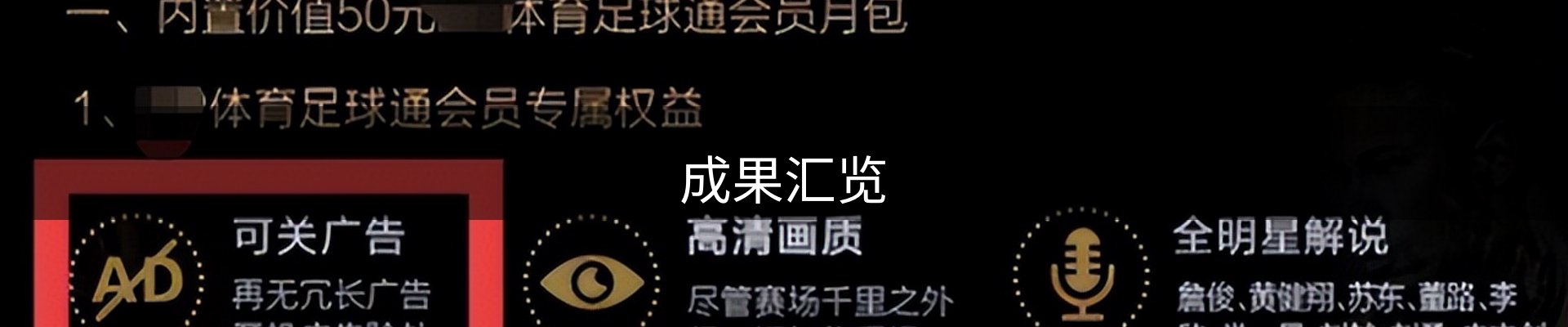 成果汇览